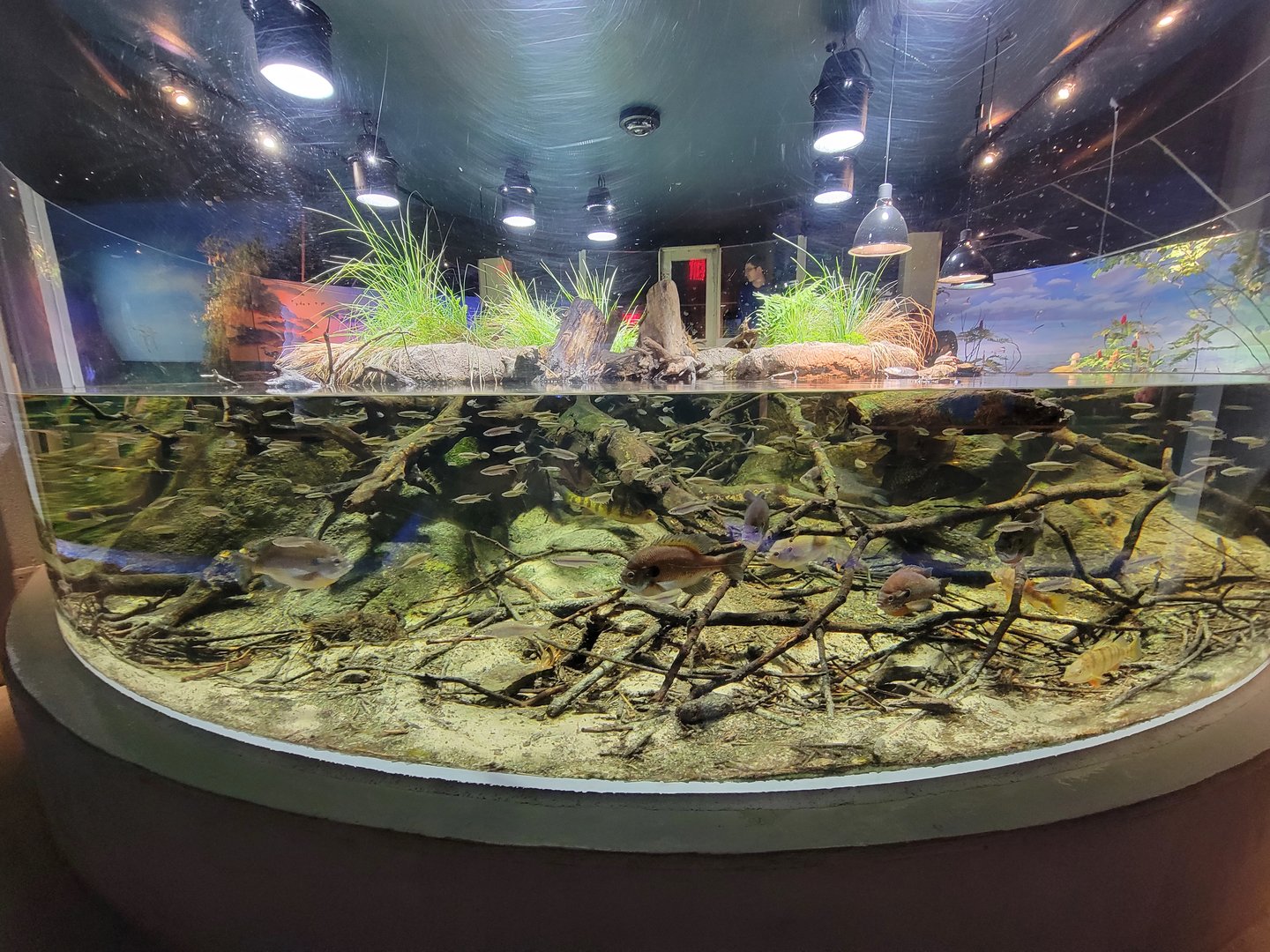 Toledo, Promedica Museum - Wetlands & Lakes