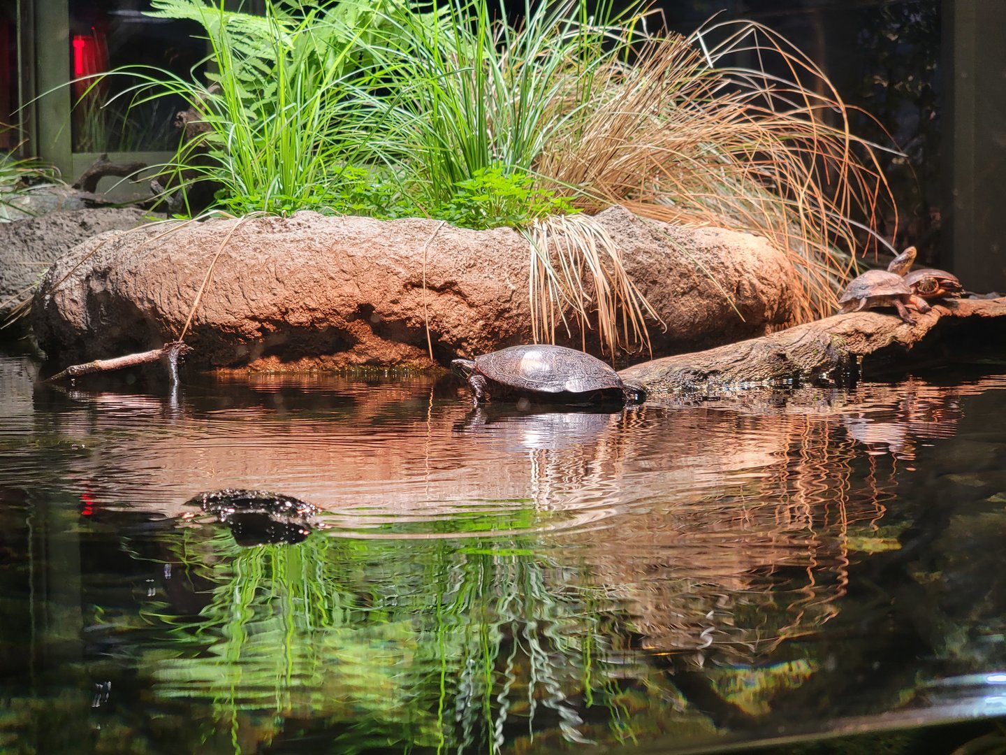 Toledo, Promedica Museum - Wetlands & Lakes