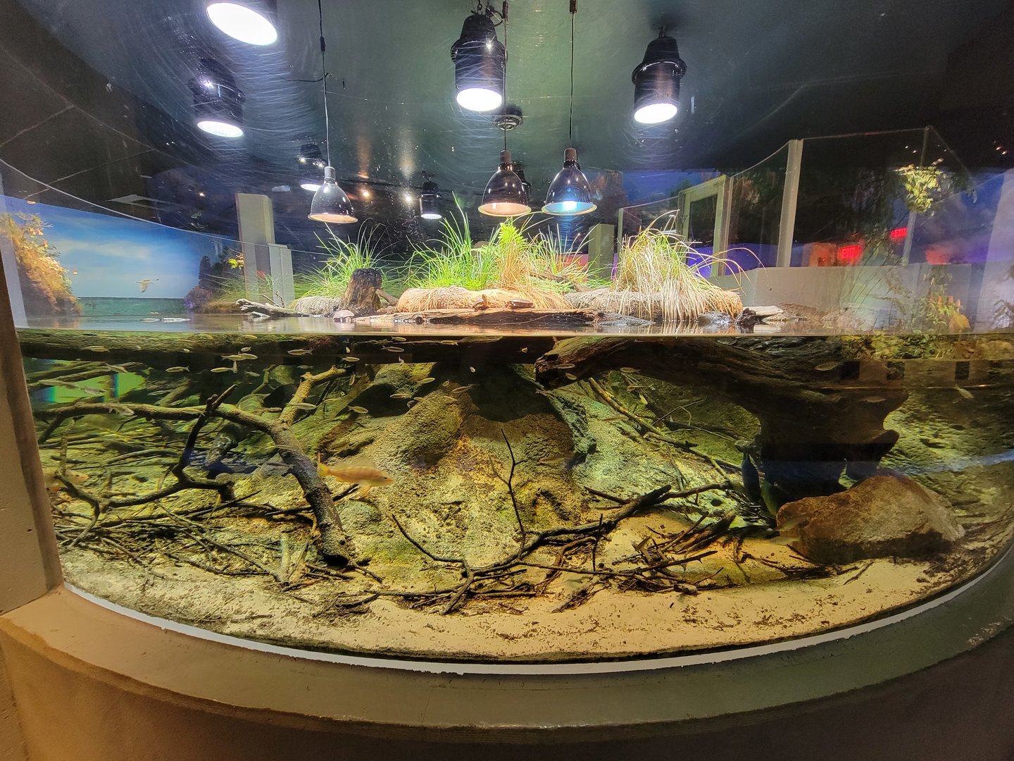 Toledo, Promedica Museum - Wetlands & Lakes