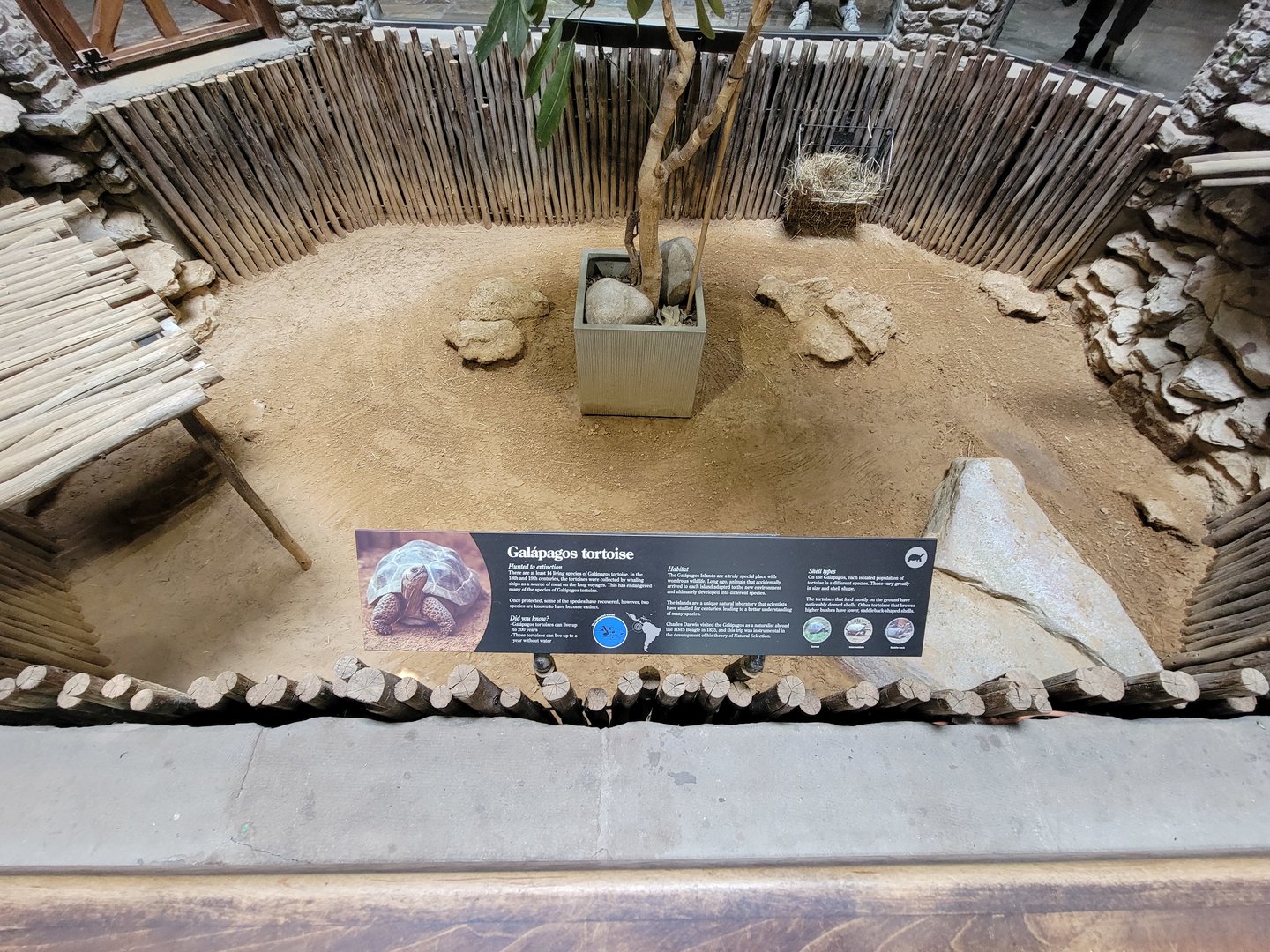 Toledo - Reptile House, Galapagos tortoises (unseen, clearly)