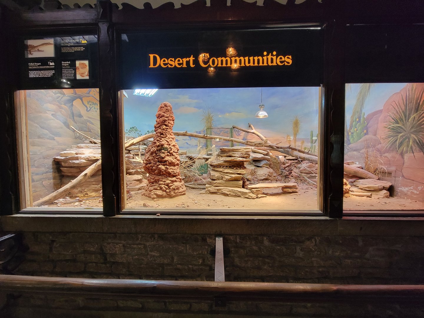 Toledo - Reptile House, Kimberley rock monitor, frilled dragon, bearded dragon