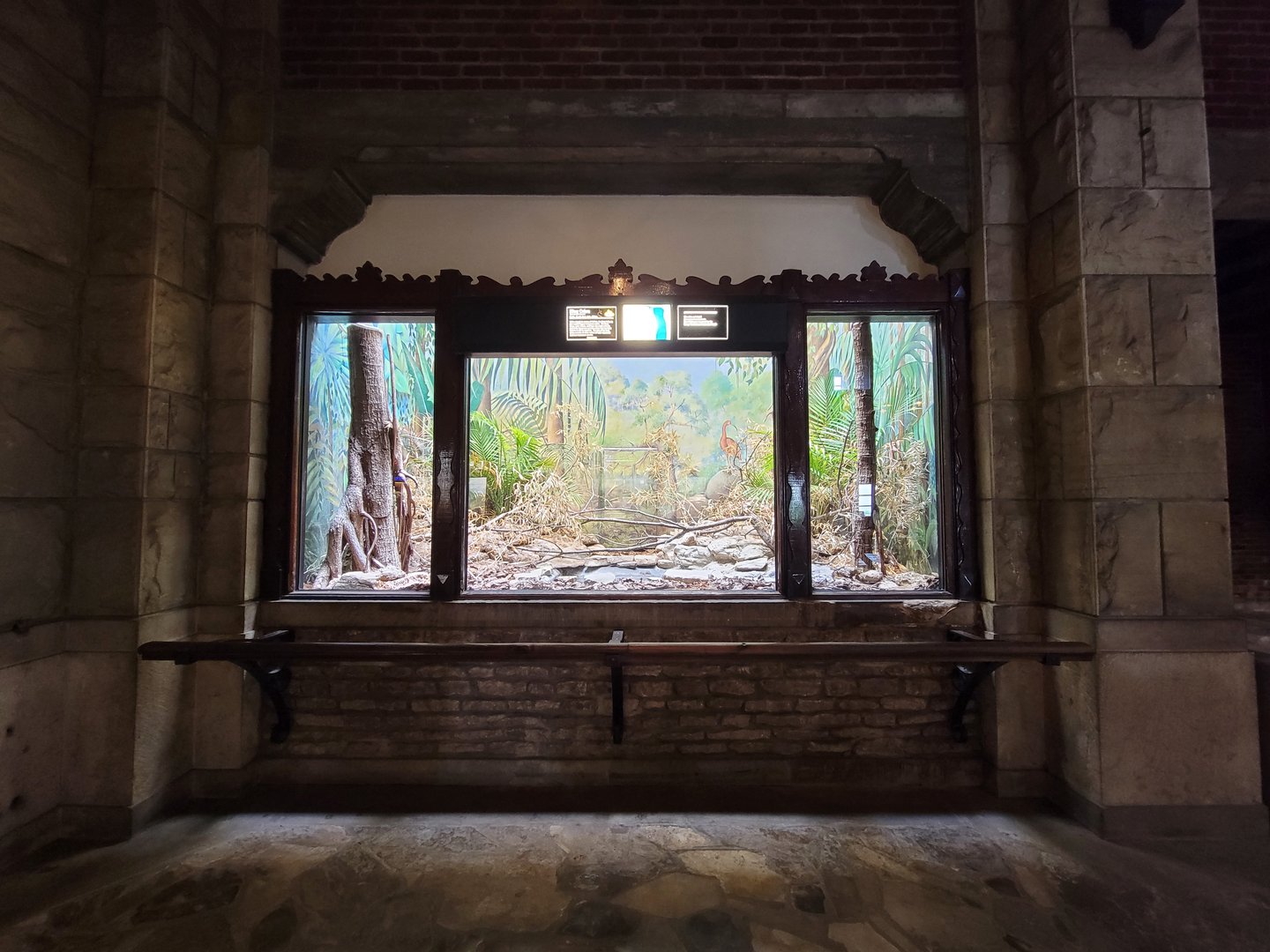 Toledo - Reptile House, King cobra