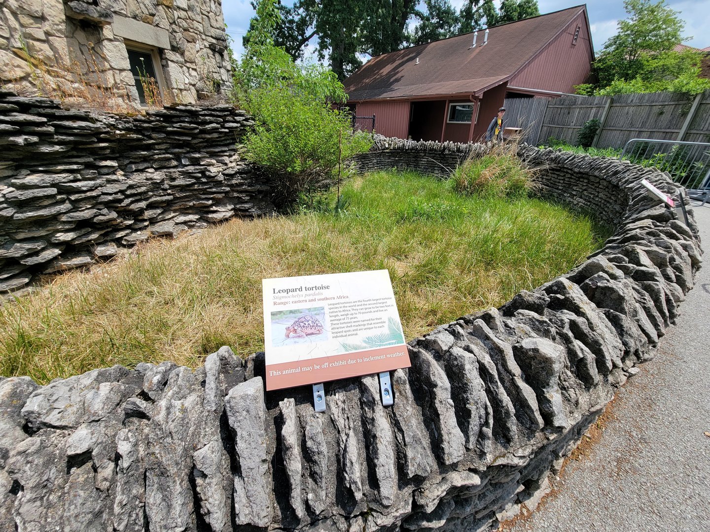 Toledo - Reptile House, Leopard tortoise (path to hellbenders and raptor barn was closed)
