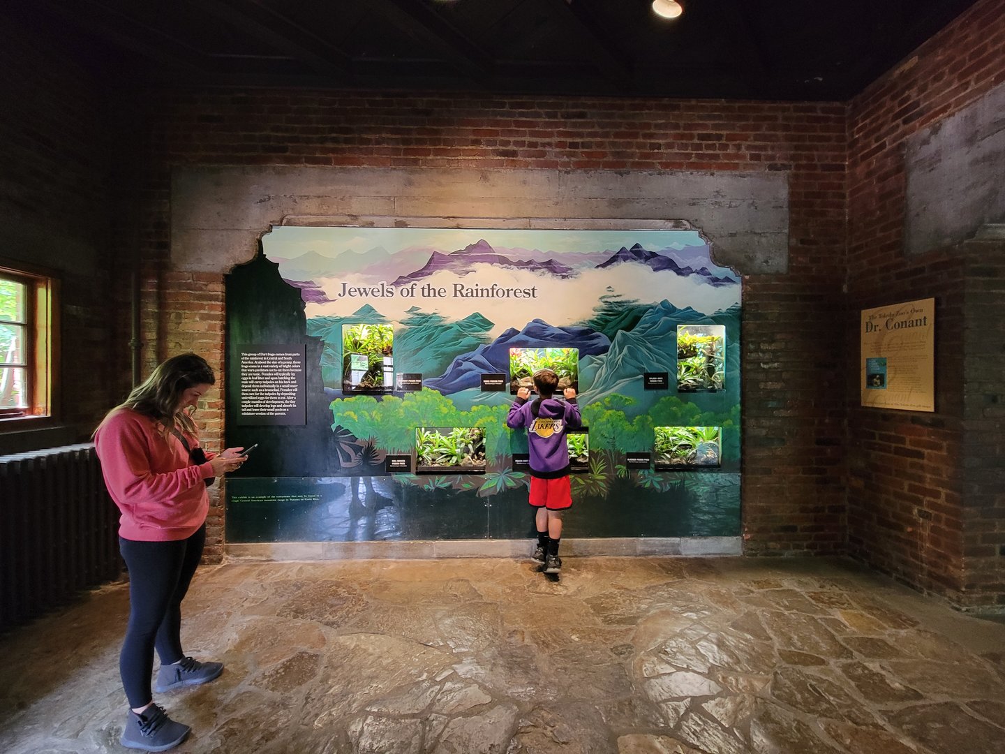 Toledo - Reptile House, Poison dart frog wall