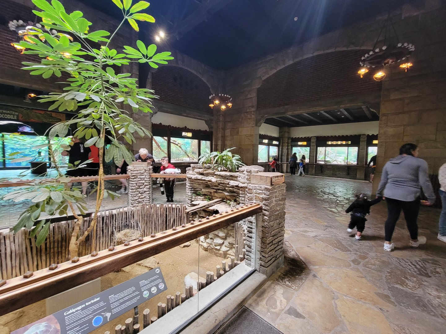 Toledo - Reptile House, To the right