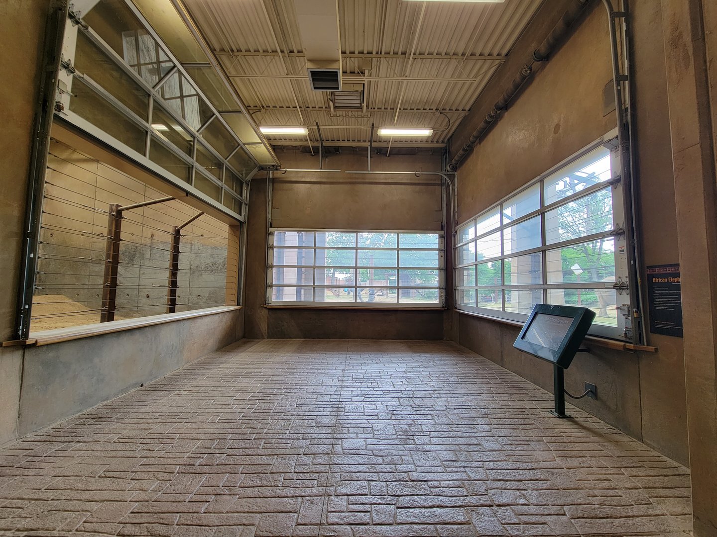 Toledo - Tembo Trail, African elephants indoor viewing