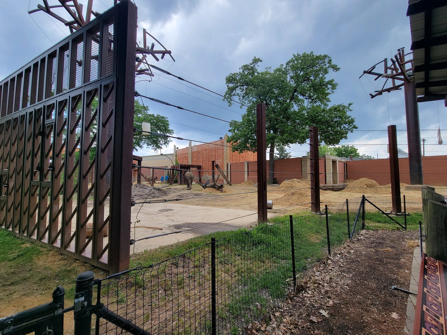 Toledo - Tembo Trail, African elephants