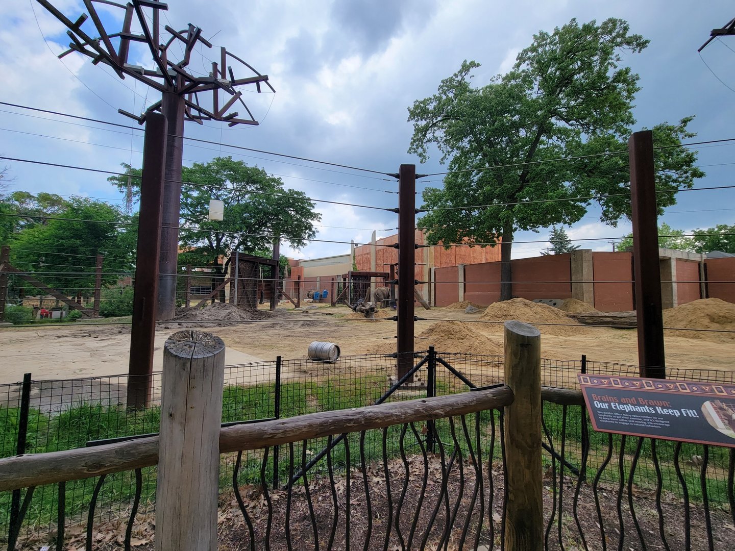 Toledo - Tembo Trail, African elephants