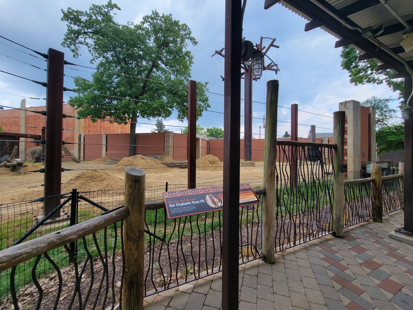 Toledo - Tembo Trail, African elephants