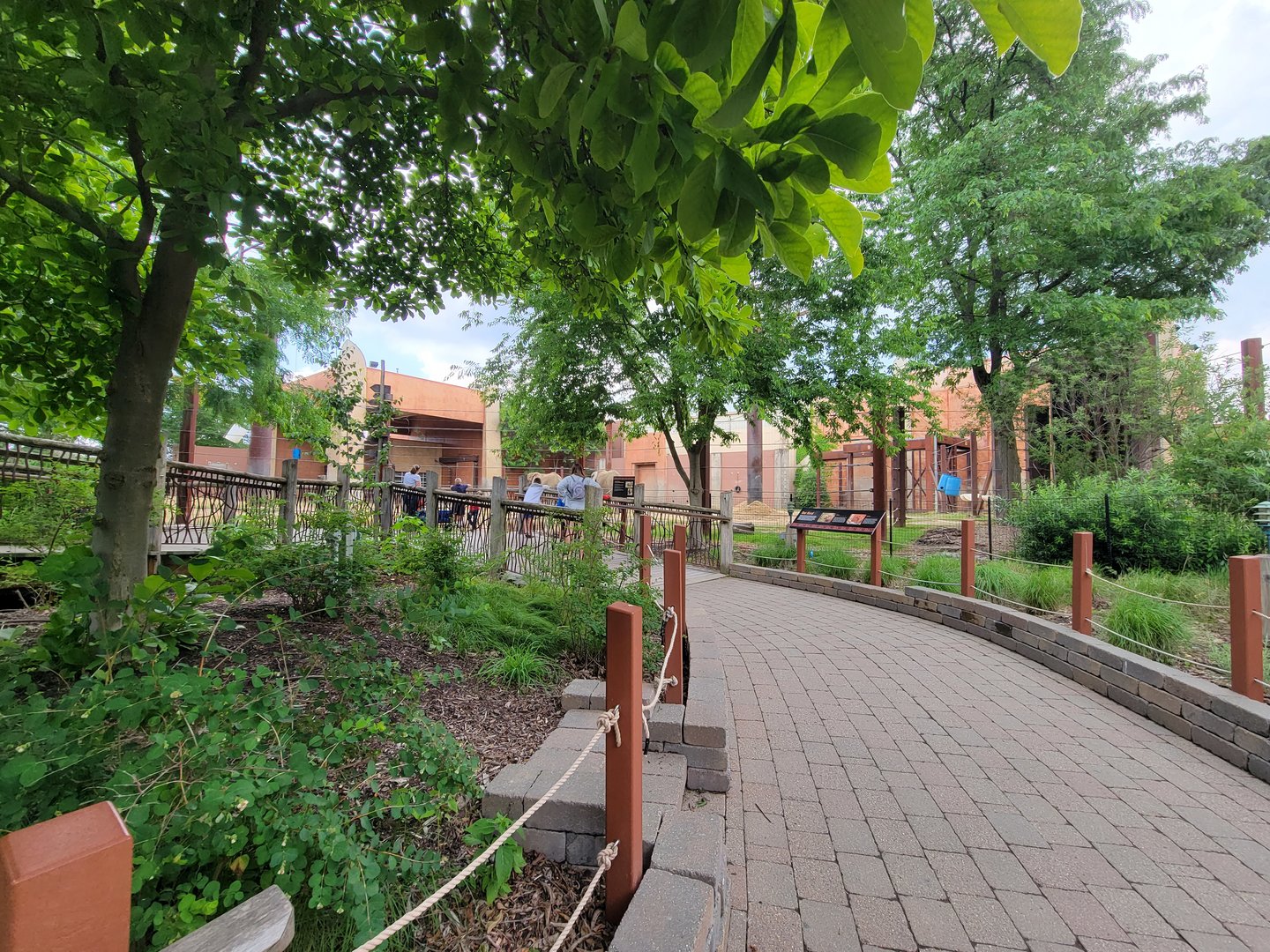 Toledo - Tembo Trail, African elephants