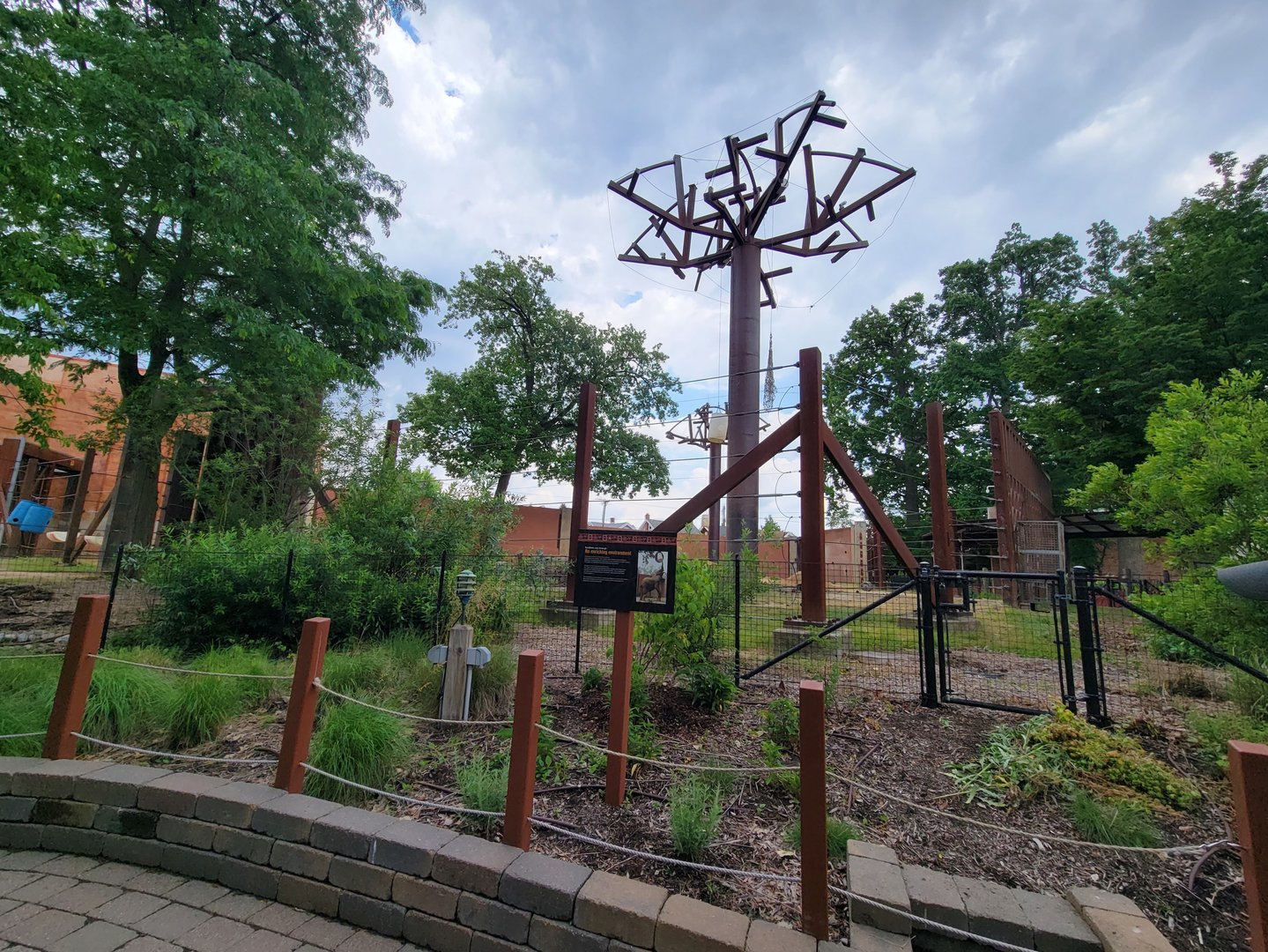 Toledo - Tembo Trail, African elephants
