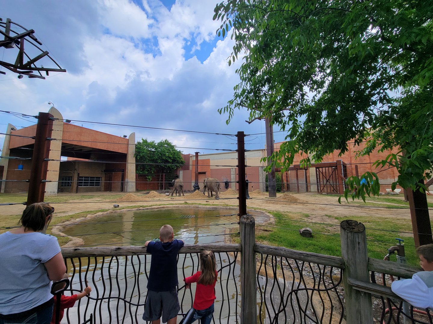 Toledo - Tembo Trail, African elephants