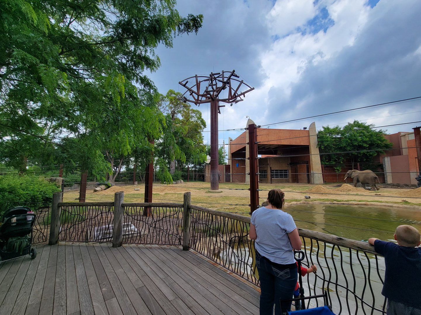 Toledo - Tembo Trail, African elephants