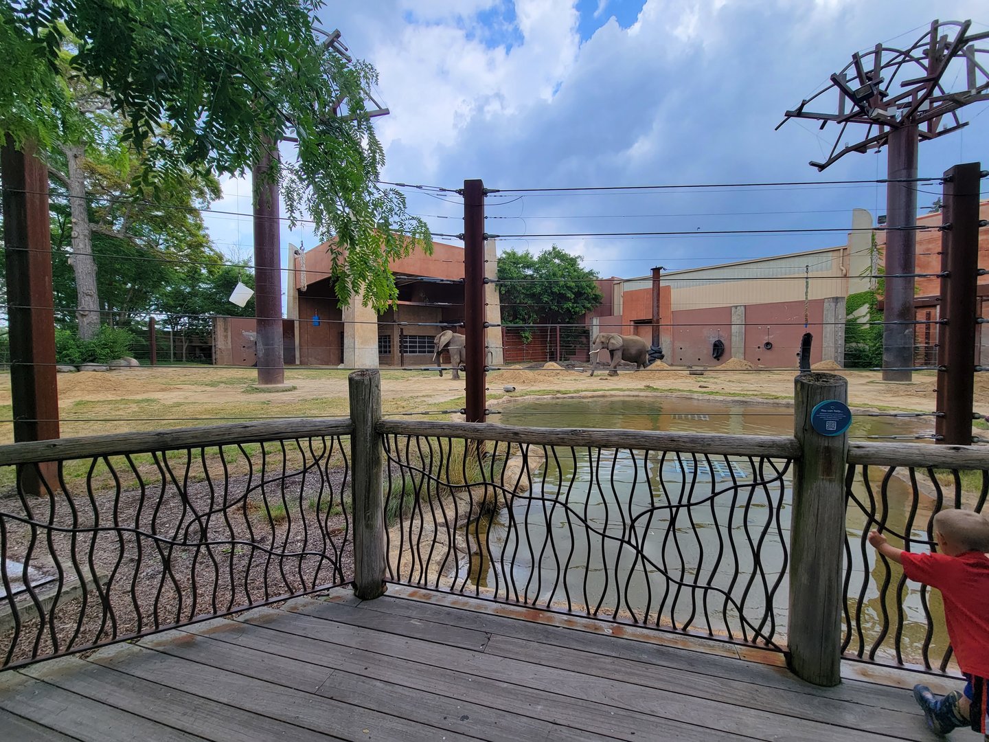 Toledo - Tembo Trail, African elephants