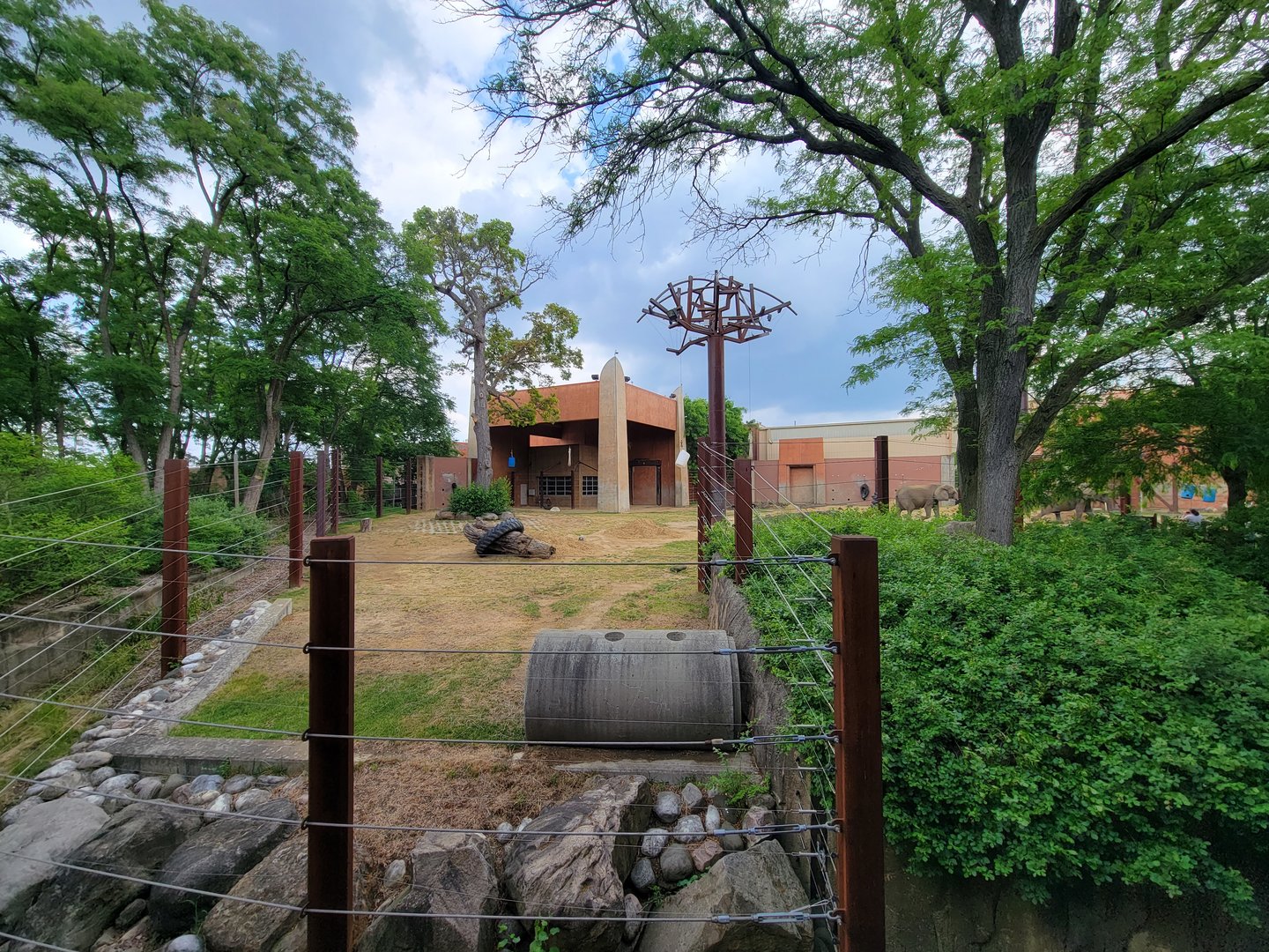 Toledo - Tembo Trail, African elephants