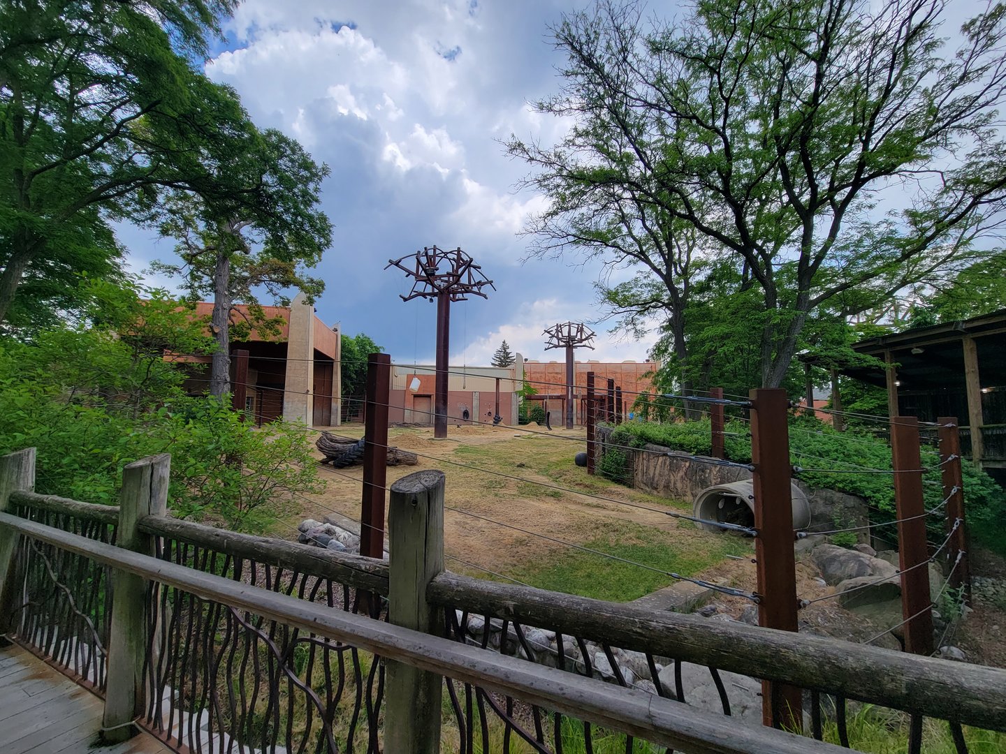Toledo - Tembo Trail, African elephants