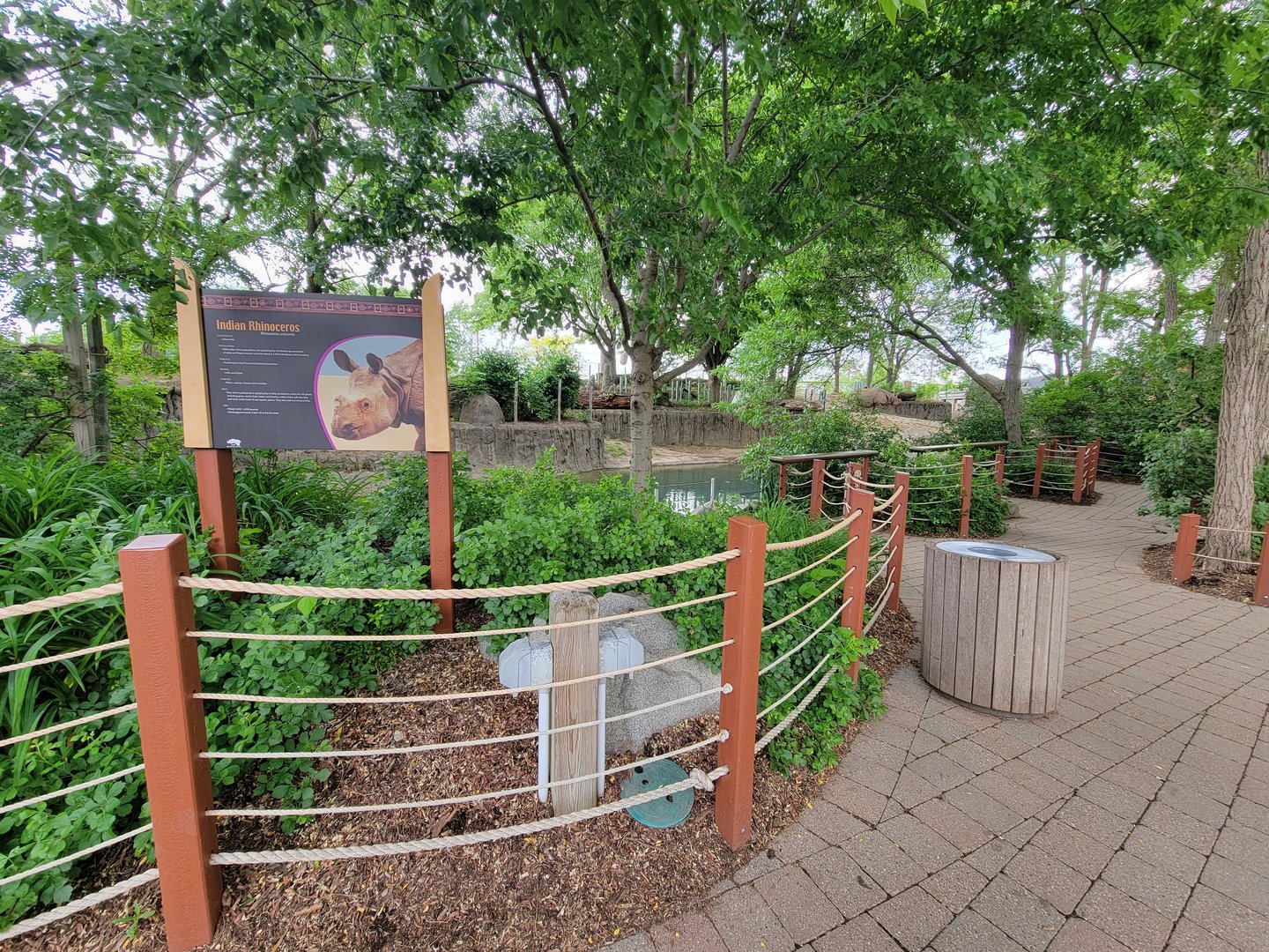 Toledo - Tembo Trail, Indian rhinoceros