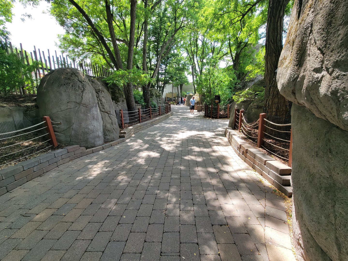 Toledo - Tembo Trail, path