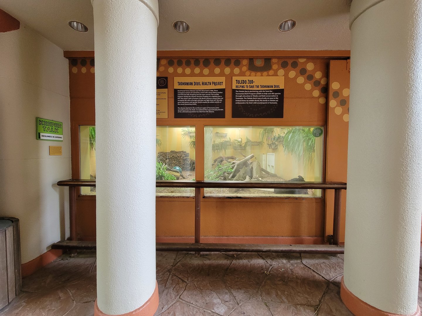 Toledo - Tembo Trail, Tasmanian devils