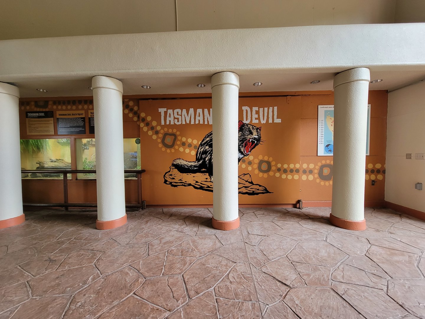 Toledo - Tembo Trail, Tasmanian devils