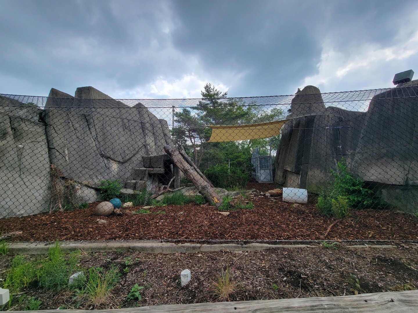 Toledo - Tiger Terrace