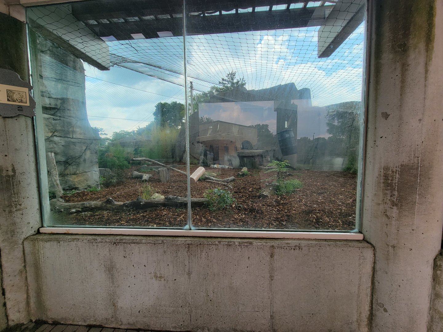 Toledo - Tiger Terrace