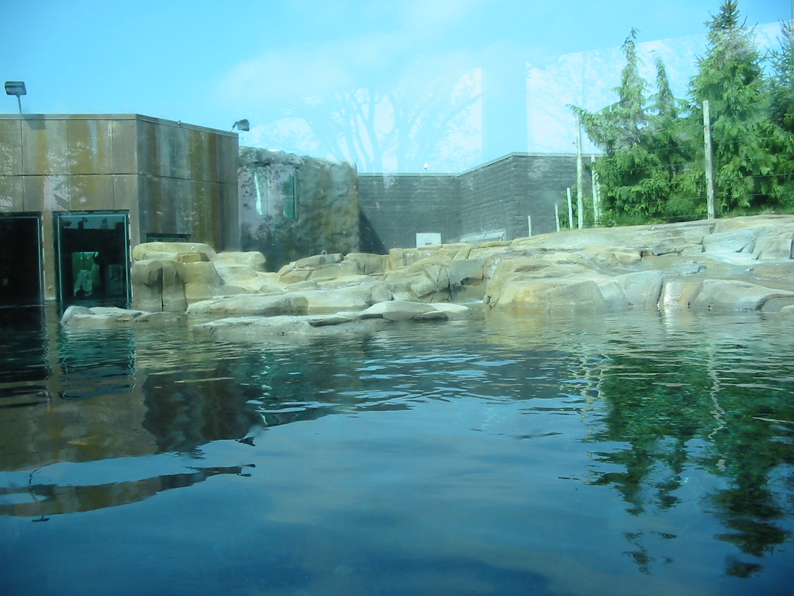 Toledo Zoo 2003 - Interchangeable exhibit for Seals and Polar Bears?