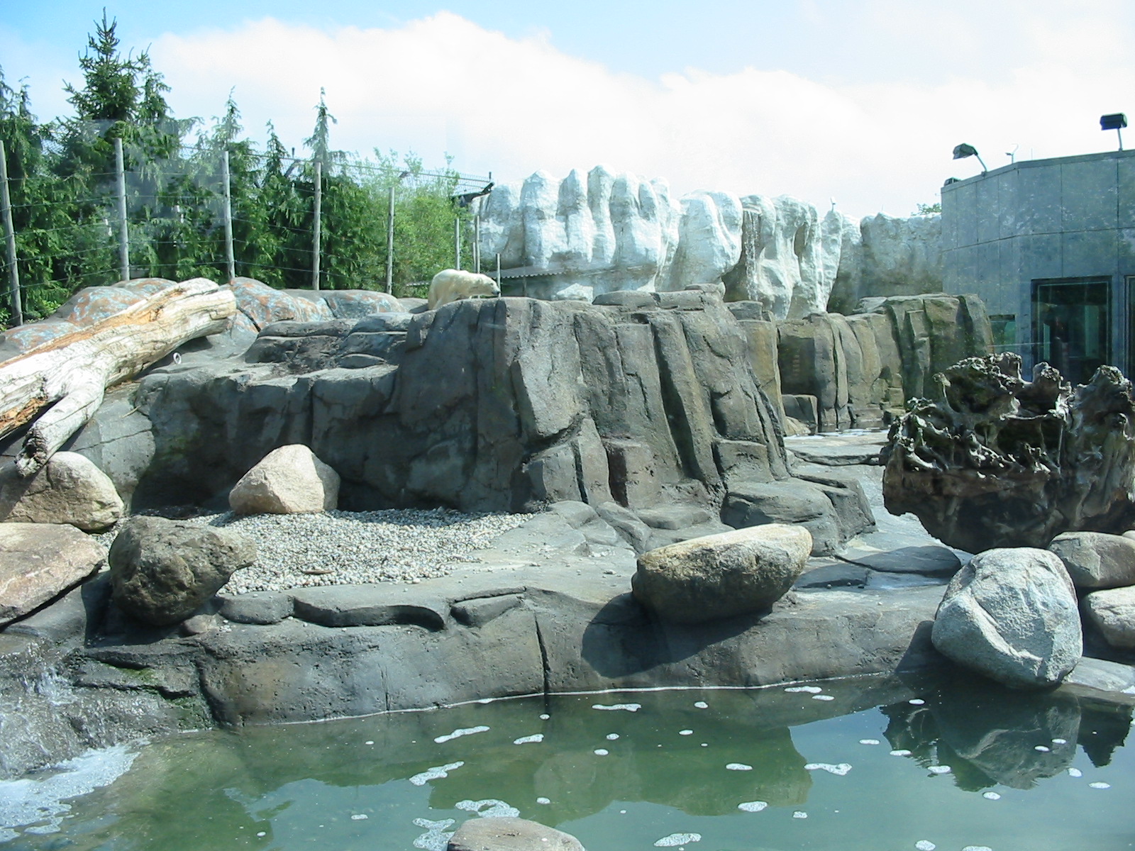 Toledo Zoo 2003 - Polar Bear exhibit