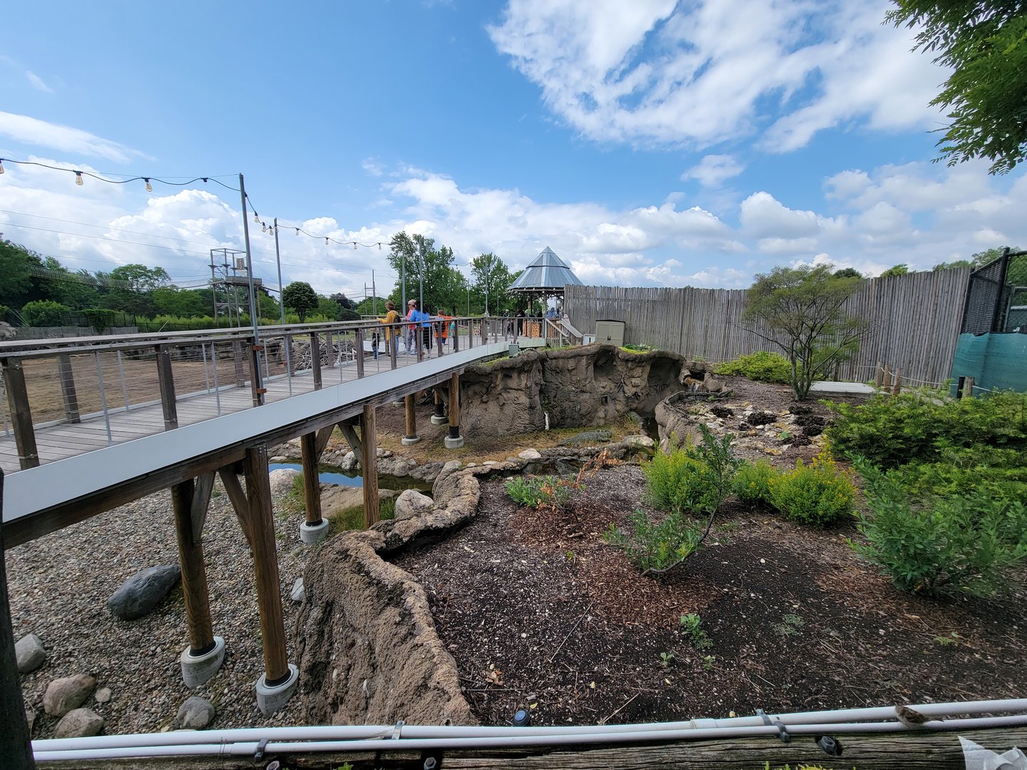 Toledo Zoo, Africa! - Bridge to giraffe feeding, more fake crocs