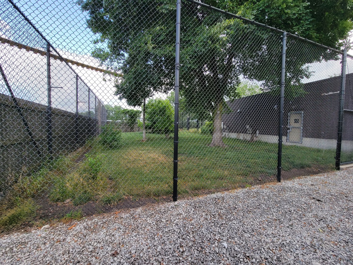 Toledo Zoo, Africa! - Cheetah side yard from train