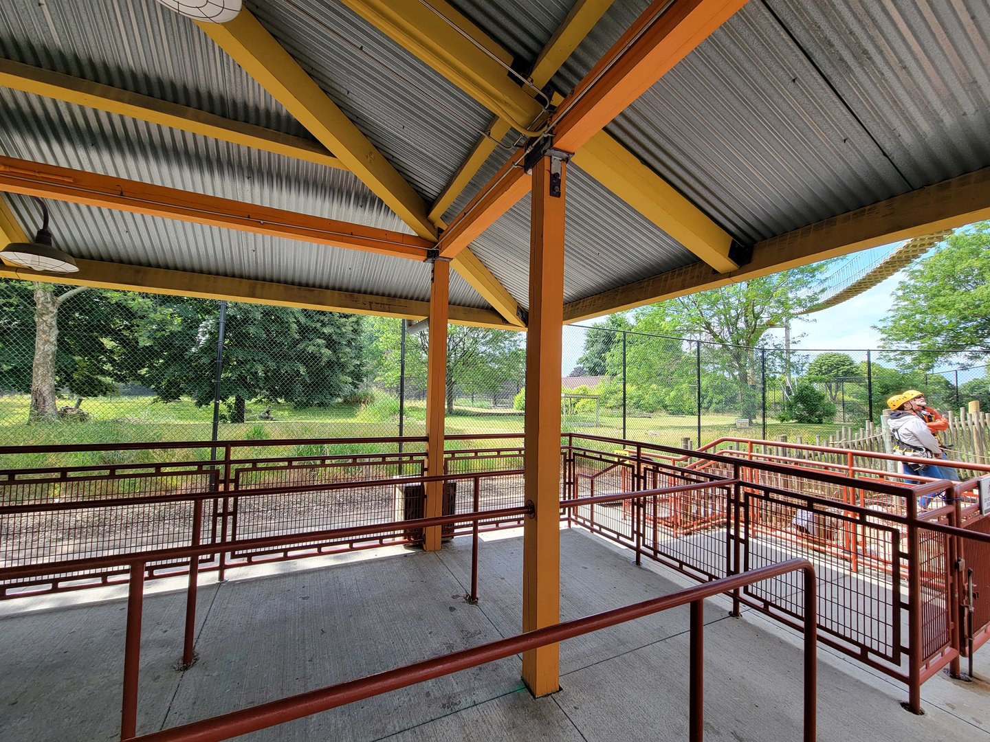 Toledo Zoo, Africa! - Cheetah yard behind train line