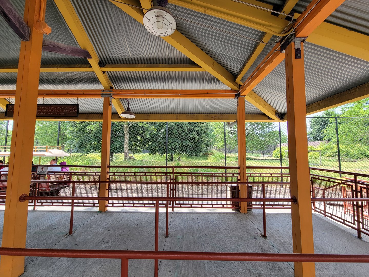 Toledo Zoo, Africa! - Cheetah yard behind train line