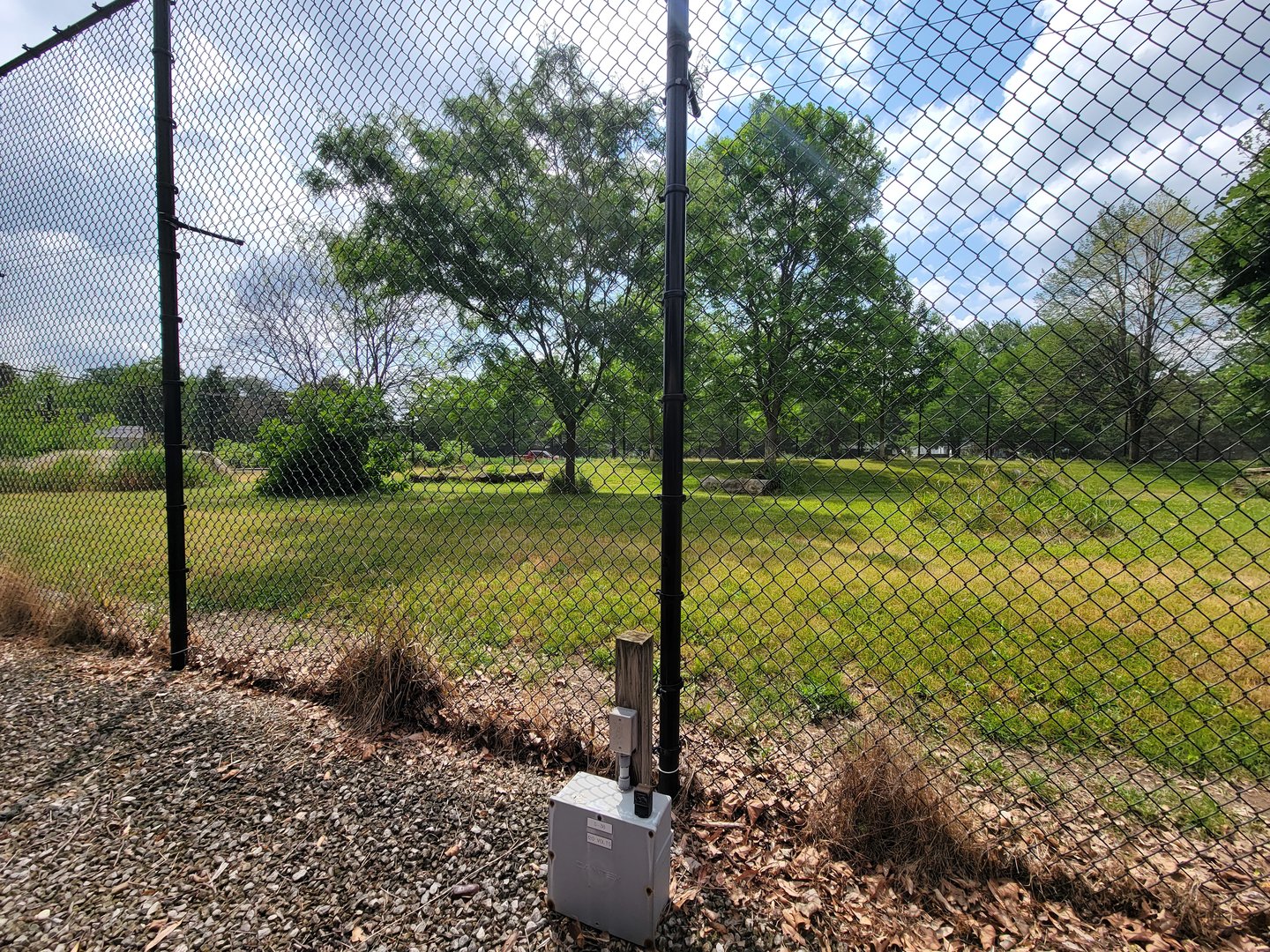 Toledo Zoo, Africa! - Cheetah yard from train