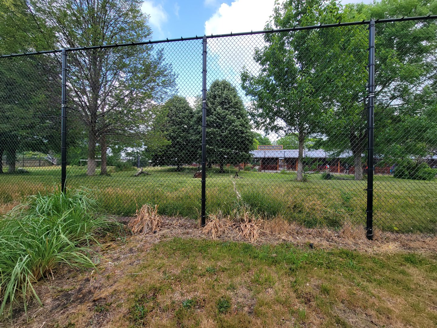Toledo Zoo, Africa! - Cheetah yard from train