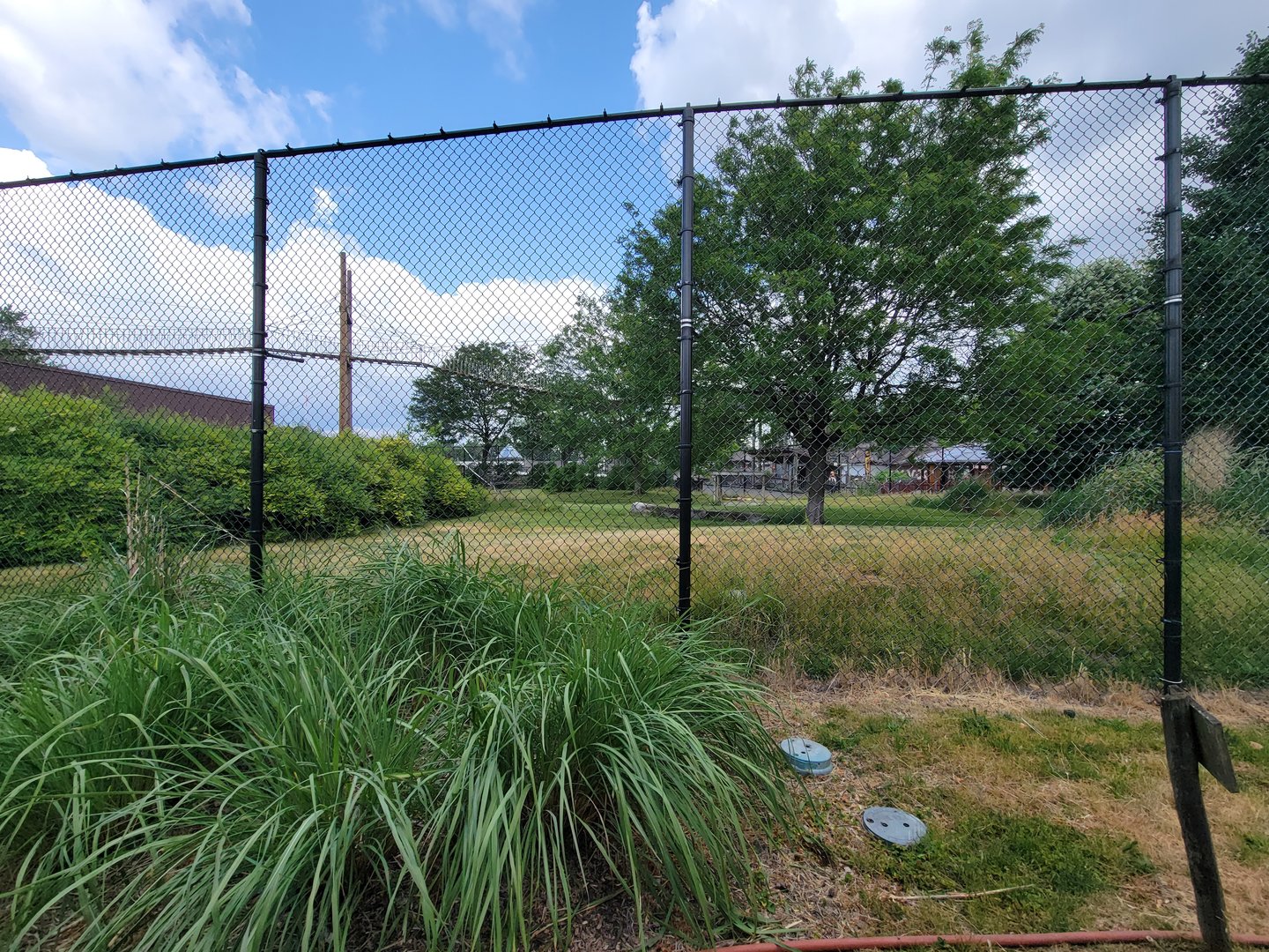 Toledo Zoo, Africa! - Cheetah yard from train