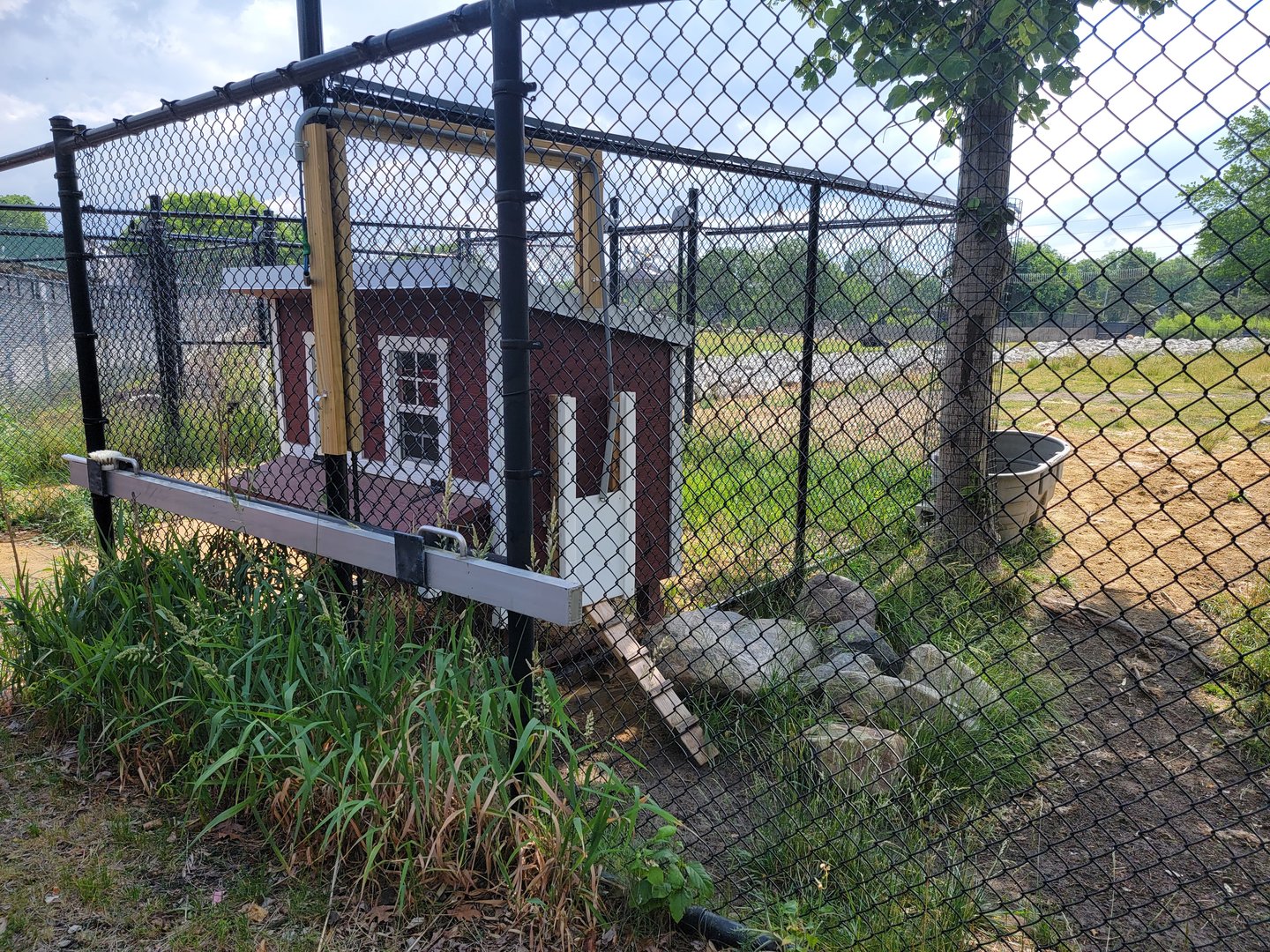 Toledo Zoo, Africa! - Coop for guineafowl, seen from train
