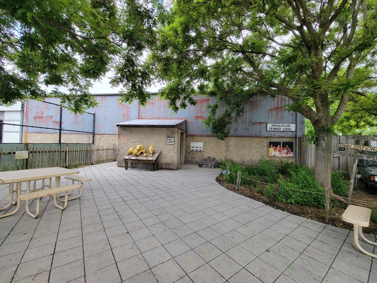 Toledo Zoo, Africa! - Giraffe barn