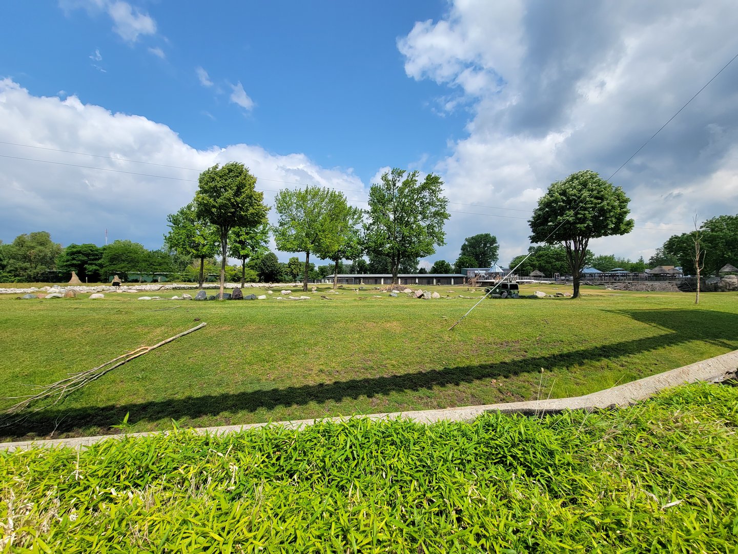 Toledo Zoo, Africa! - Savannah from train