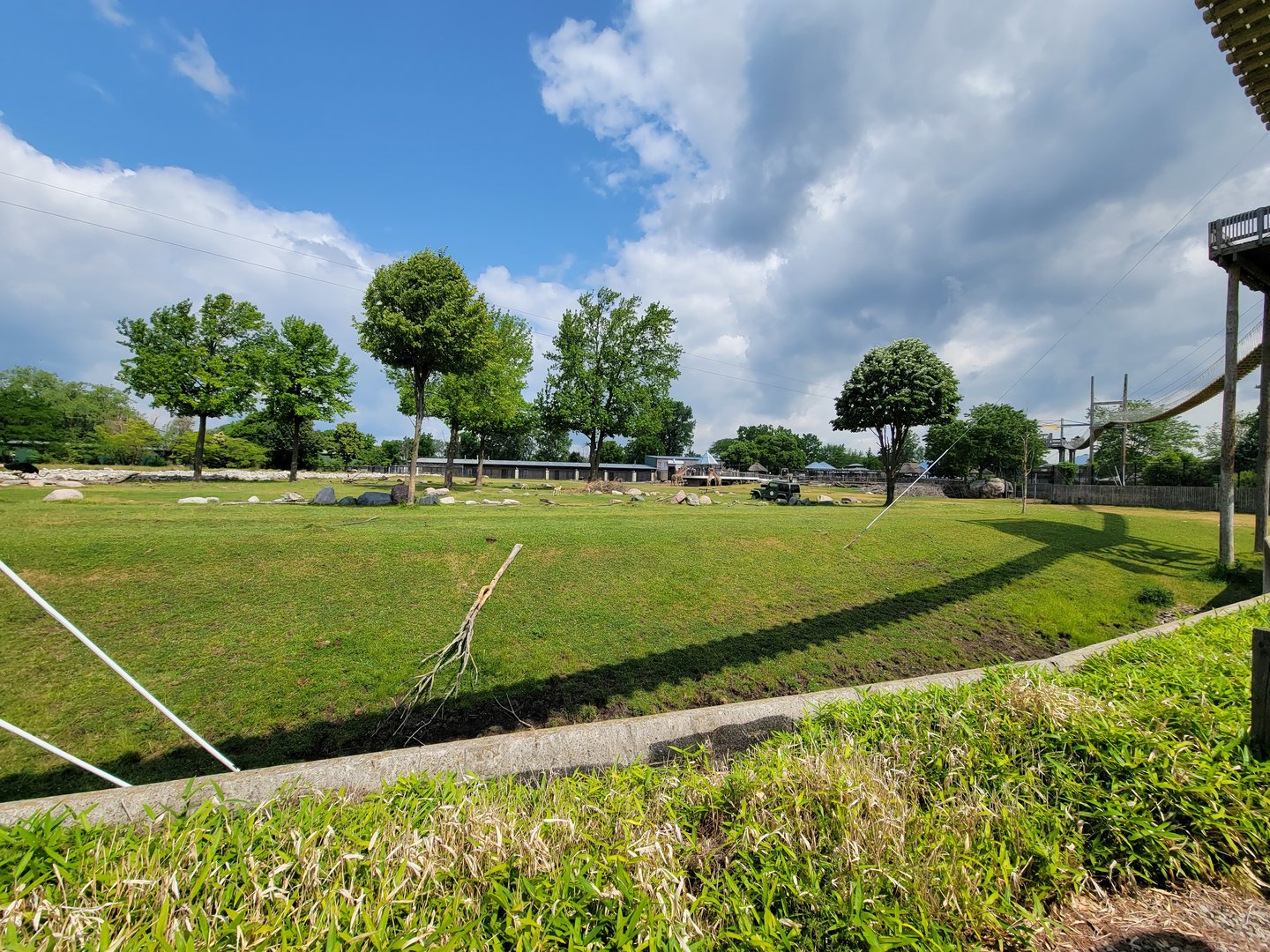 Toledo Zoo, Africa! - Savannah from train