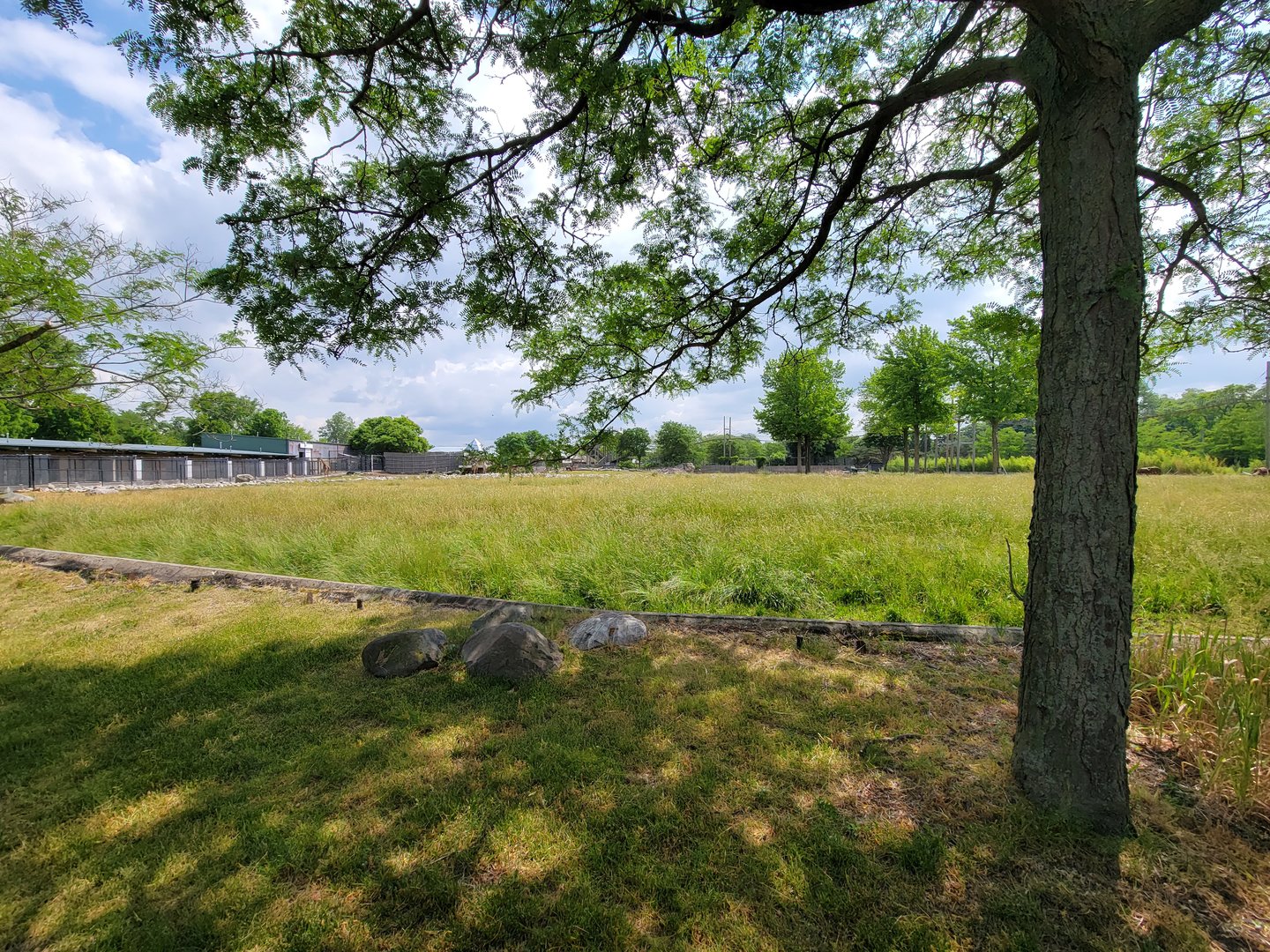 Toledo Zoo, Africa! - Savannah from train