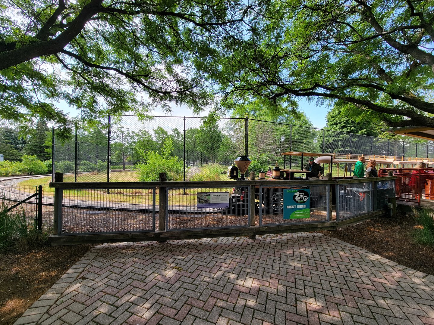 Toledo Zoo, Africa! - Train, end of cheetah yard
