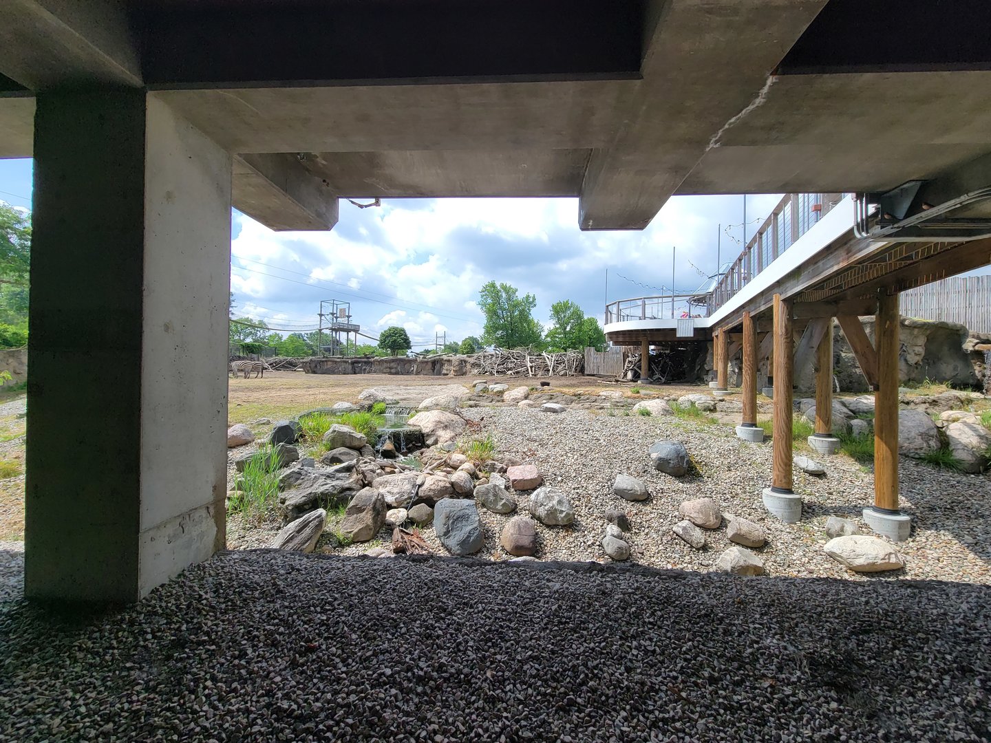 Toledo Zoo, Africa! - Zebra yard from train