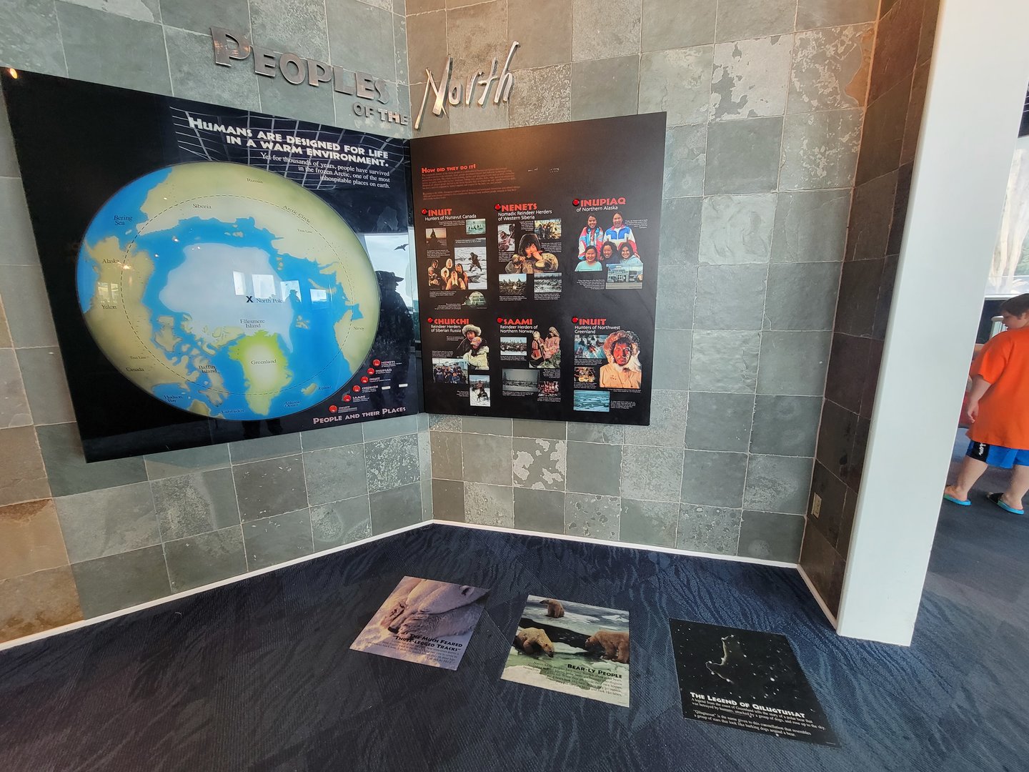 Toledo Zoo, Arctic Encounter - Arctic information