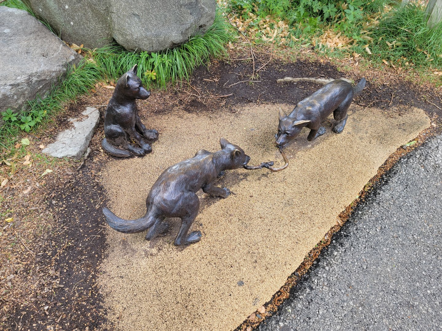 Toledo Zoo, Arctic Encounter - Gray wolf pup statue