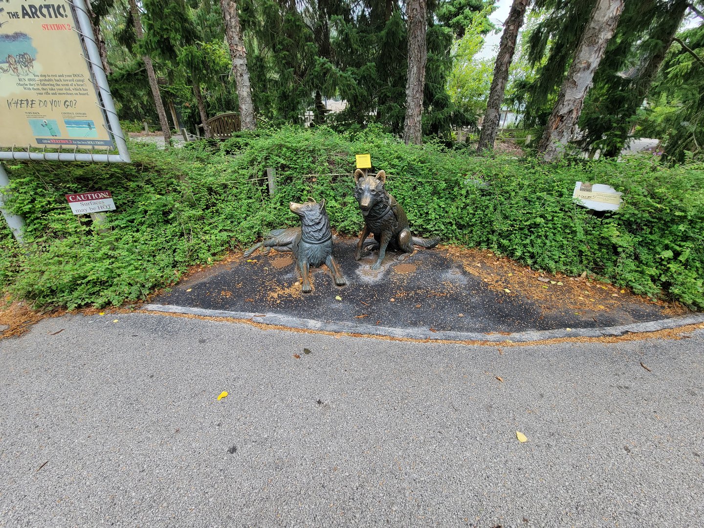 Toledo Zoo, Arctic Encounter - Gray wolves statue. This one barks at you.