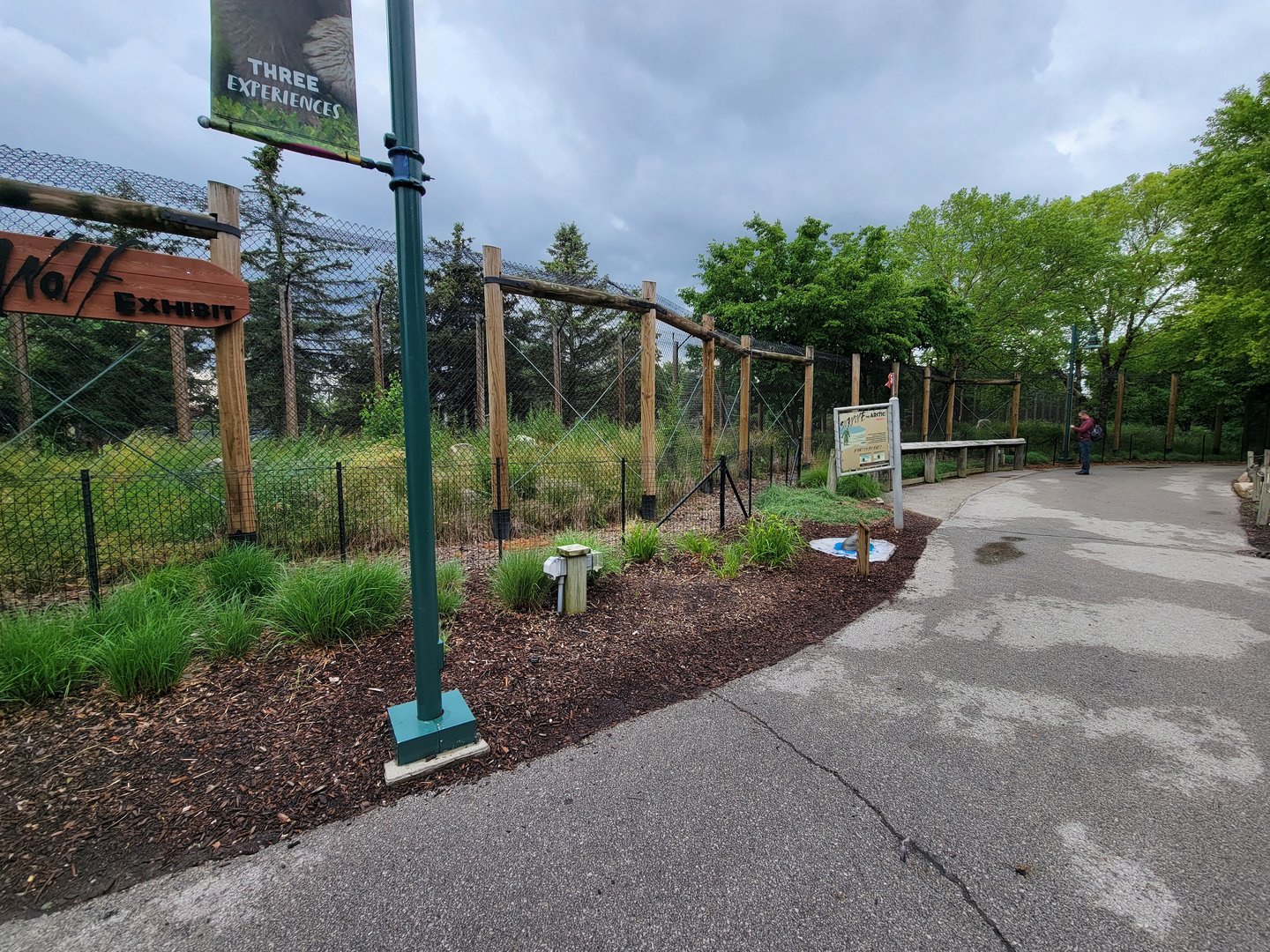 Toledo Zoo, Arctic Encounter - Gray wolves