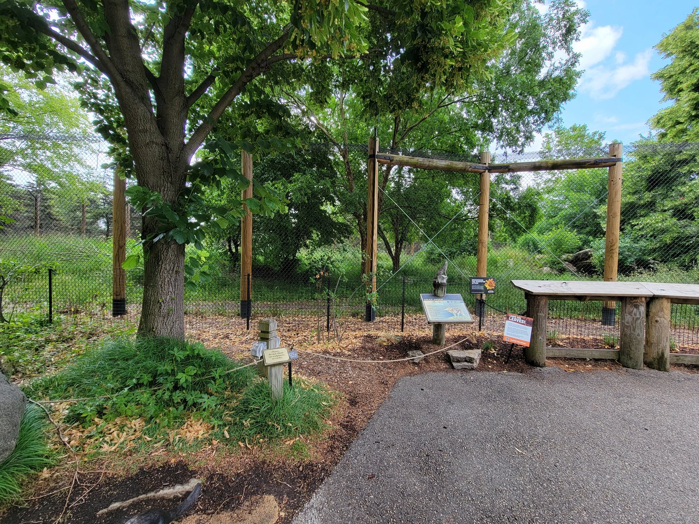 Toledo Zoo, Arctic Encounter - Gray wolves
