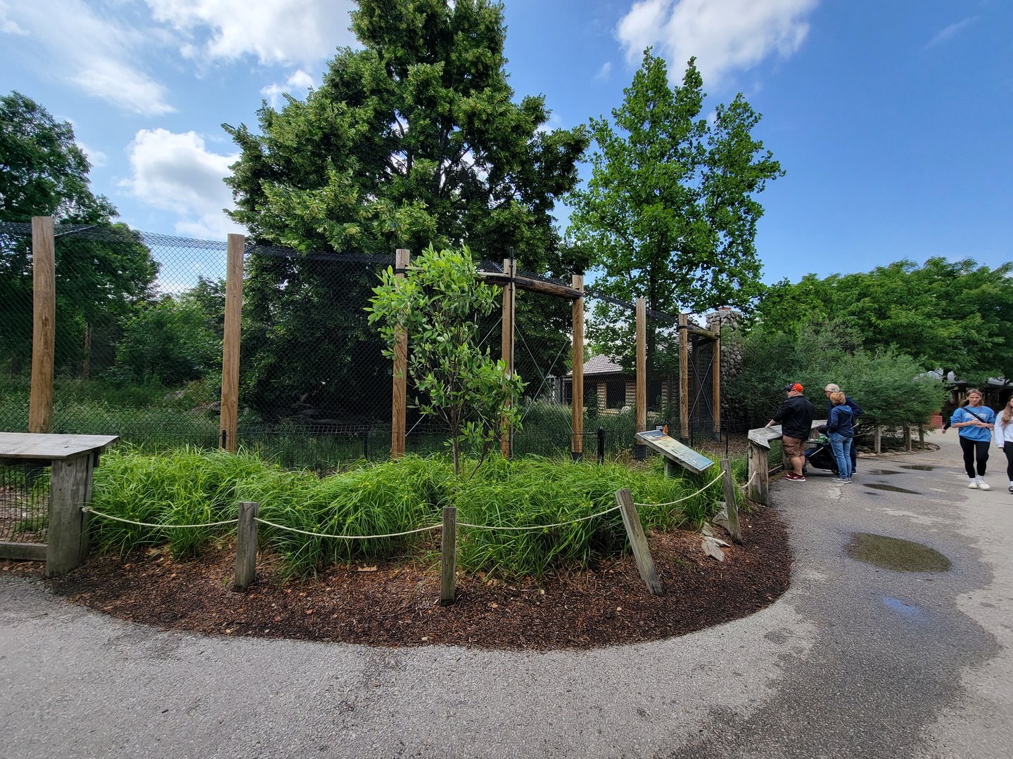 Toledo Zoo, Arctic Encounter - Gray wolves