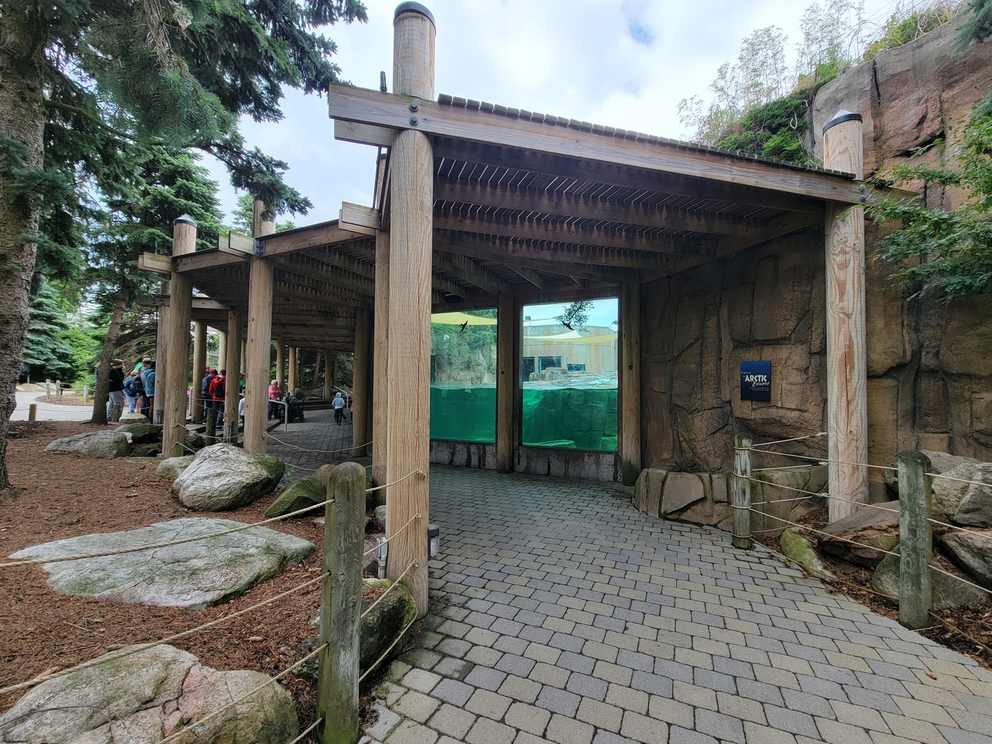 Toledo Zoo, Arctic Encounter - Harbor seal, gray seal, and California sea lions, outdoor viewing