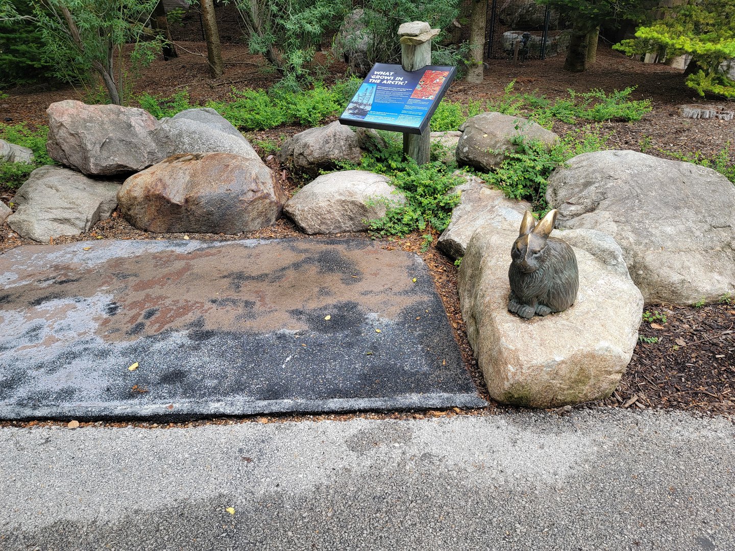 Toledo Zoo, Arctic Encounter - Hare statue